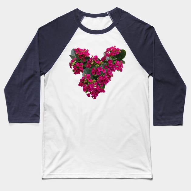 Kalanchoe - Kalanchoe Heart Baseball T-Shirt by SusanSavad